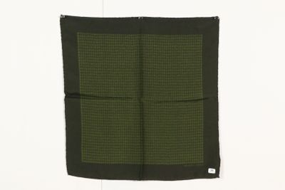 un gros plan sur un mouchoir vert et noir accroché à un mur