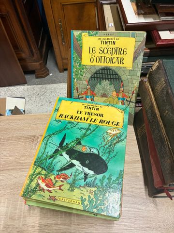 Bande dessinée- les aventures de Tintin. 15 albums