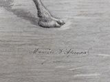 drawing of a giraffe ' s foot in the sand on a beach
