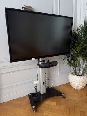 un grand téléviseur à écran plat posé sur un meuble, à côté d'une plante en pot