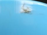 a blue bowl sitting on a table with a small spider in it