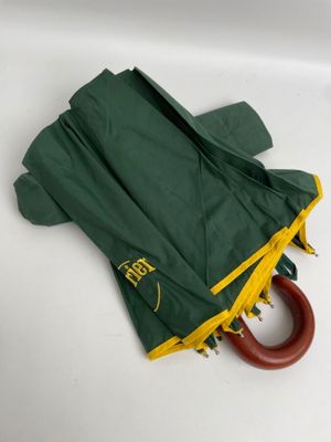 un parapluie vert et jaune avec un manche en bois
