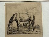 quatre photos différentes de chevaux et d'une vache dans un champ