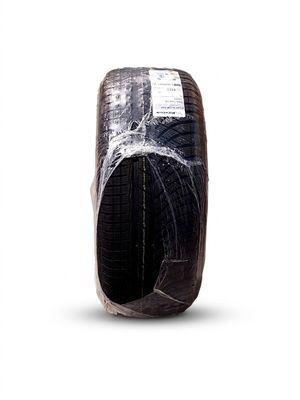 Lot de 2 - MICHELIN - Ces pneumatiques hiver Pilot Alpin PA4…