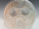 a glass plate with a design on it