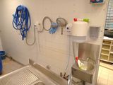 a kitchen with a sink, a sink, and a faucet