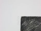 someone is drawing a black and white picture with a pencil