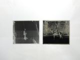 Photo 3/10 du lot