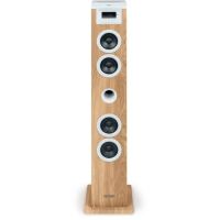 10798-73 / Enceinte Colonne - THOMSON - DS121CD - Blanc/Bois…
