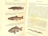an open book with illustrations of fish on it