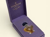 a close up of a purple box with a small bottle of perfume in it