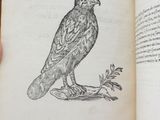 a person holding a book with a drawing of a bird on it