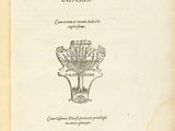 un vieux livre sur lequel figure l'image d'une fleur
