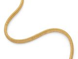 un gros plan de la queue d'un serpent sur fond blanc