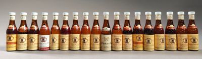 several bottles of beer lined up in a row on a table