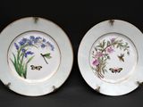 two plates with flowers and butterflies painted on them on a black surface
