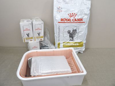 un chat assis dans un bac à litière
