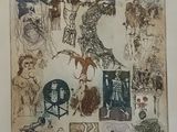 une image représentant un dessin d'une femme sur lequel figurent de nombreuses images