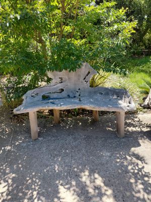 a bench that is sitting in the middle of the park