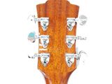 the headstock of an acoustic guitar on a white background