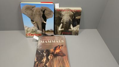 deux livres posés sur une table, avec une image représentant un éléphant et un chien
