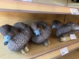 Plusieurs peluches sont alignées sur une étagère dans un magasin