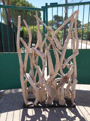a large piece of drift wood sitting on the ground