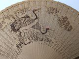 someone is holding a paper fan with a picture of a bird on it