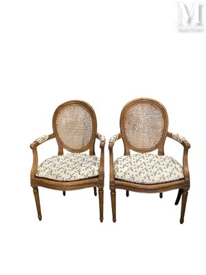 Paire de fauteuils médaillons de style Louis XVI