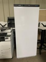 Armoire réfrigérée positive ICEPROD 600L (photo 2)