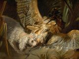 a painting of a dog chasing a bird in the air