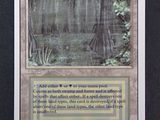 a close up of a card with a picture of a swamp