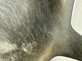 a close up of a metal object on a table