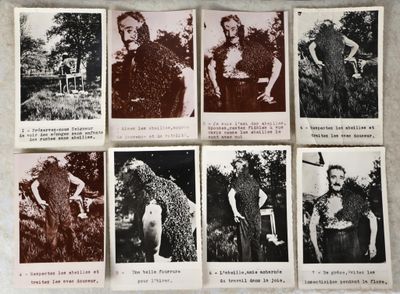 plusieurs vieilles photos en noir et blanc d'hommes barbus et moustachus