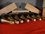 several bottles of wine are lined up on a red cloth