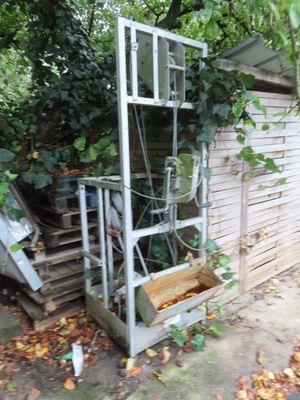 an old window that has been left out in the yard