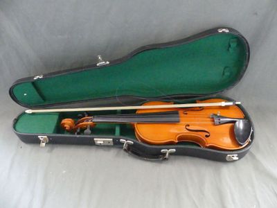 une image représentant un étui à violon contenant un violon