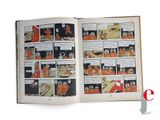 an open book with a comic strip in it