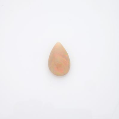 une image représentant un fruit isolé sur un fond blanc