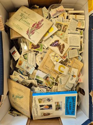 une boîte en carton remplie de livres et de papiers