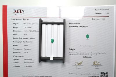 une photo d'un certificat sur laquelle figure une pierre verte
