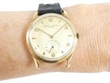 a gold wrist watch on a woman ' s wrist
