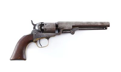 a colt colt colt colt colt colt colt colt colt colt colt colt colt colt colt colt colt colt colt colt colt colt colt colt colt colt colt colt colt colt colt colt colt colt colt