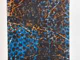 an image of a book with a blue and brown cover