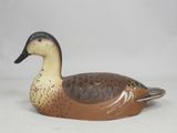 a brown and black duck sitting on a white surface