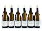 six bouteilles de vin sont alignées sur une surface blanche