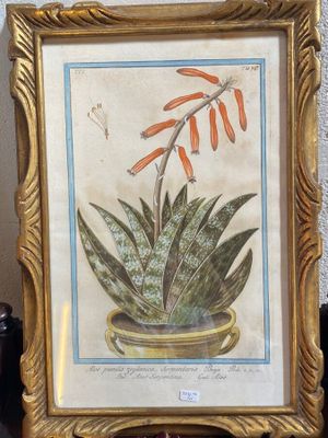 une photo d'une plante en pot posée sur une table