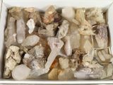 une boîte blanche remplie de nombreuses sortes de pierres différentes