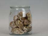 a glass jar filled with shells on a white surface