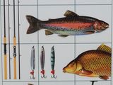 a picture of a book with a picture of different fish